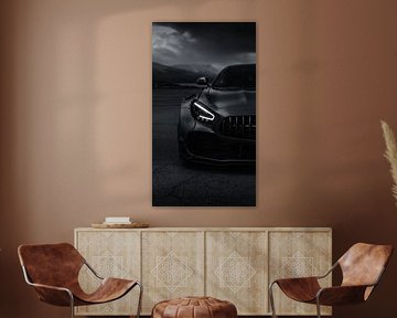 Dunkles Pferd von John Dan