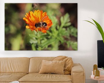 Mistbiene von Matthias Brix