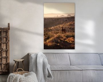 Horses of Monument Valley by Martin Podt