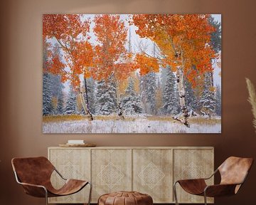 L'automne rencontre l'hiver dans l'Utah sur Martin Podt