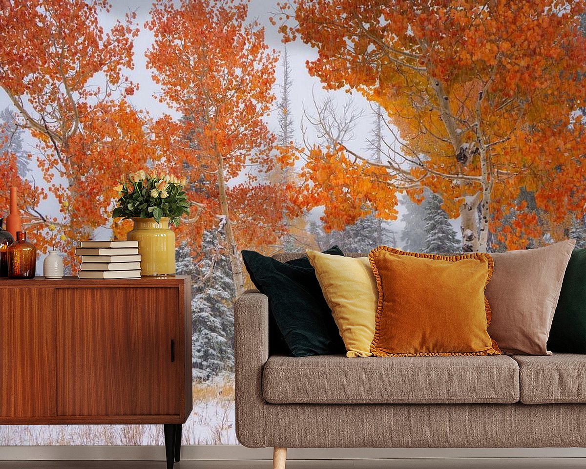 Raumvorschau