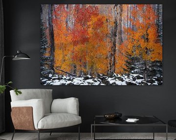 L'automne rencontre l'hiver dans l'Utah II sur Martin Podt