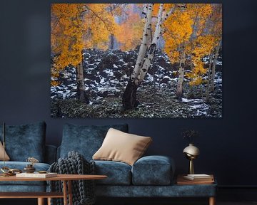 L'automne rencontre l'hiver dans l'Utah II sur Martin Podt