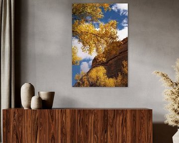 Feuillage d'automne sur Martin Podt