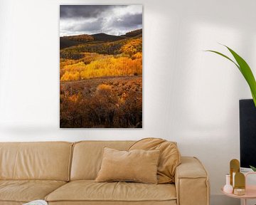 Couleurs d'automne dans l'Utah sur Martin Podt