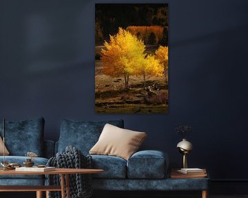 Glow in the dark by Martin Podt