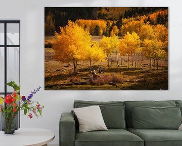 Le pic d'automne de l'Utah sur Martin Podt