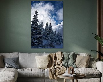 Première neige sur Martin Podt