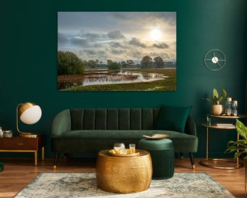 Landschap Nederland water, lucht, bos van Ellen Seip