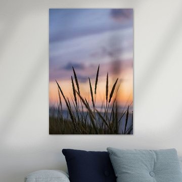 Couleurs du coucher de soleil dans les dunes d'Ameland sur Lydia