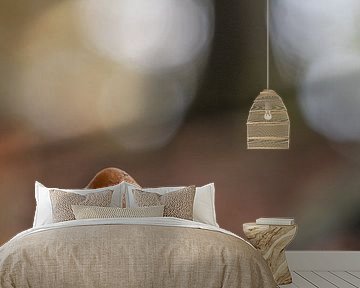 Paddenstoelen (rode zwavelkopjes) in het herfstbos