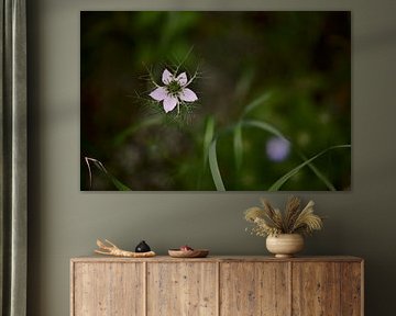 Juffertje in het groen van Jurjen Melinga