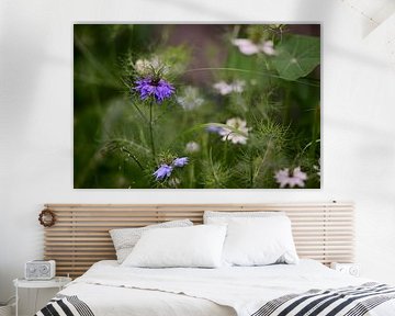 Juffertje in het groen van Jurjen Melinga