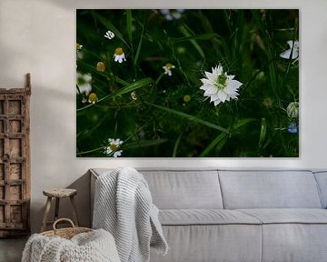 Juffertje in het groen van Jurjen Melinga