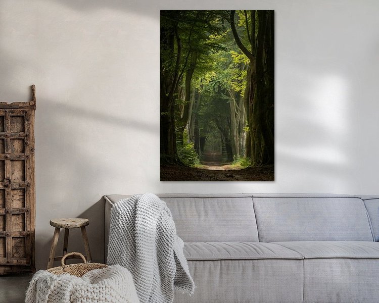 Aperçu de la chambre