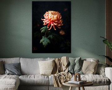 Chrysant in donker licht – klassiek bloemenportret in oude-meesterstijl