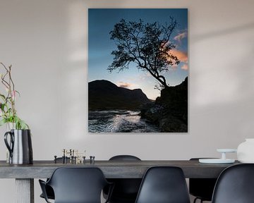 Lonely tree above river by Johan Zwarthoed