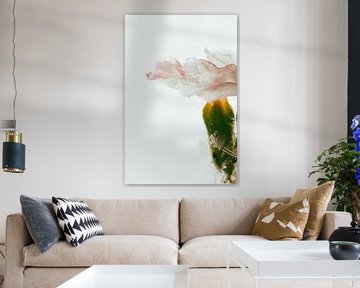 Carnation in ice 3 by Marc Heiligenstein