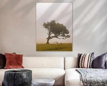 Arbre à aile droite sur Michael Schulz-Dostal