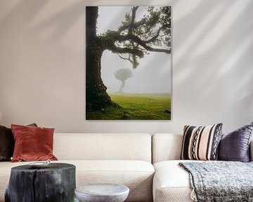 Demi-arbre mystique sur Michael Schulz-Dostal