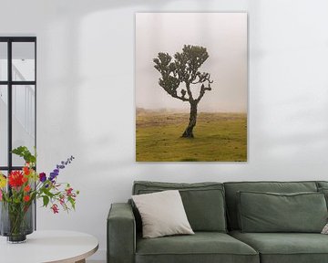 Arbre de l'aile gauche sur Michael Schulz-Dostal