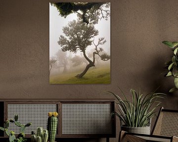 Arbre dansant sur Michael Schulz-Dostal