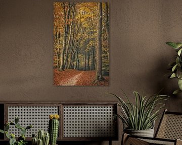 Speulderbos [Gouden Herfstmiddag II] van rosstek ®