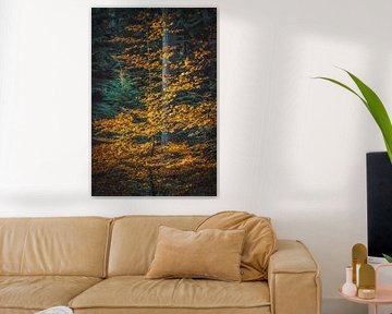 Speulderbos [Gouden Herfstmiddag III] van rosstek ®