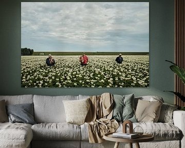 Aardappelboeren II van Inge Marije de Boer