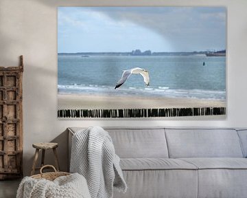 Vue d'hélicoptère sur Albert Rap