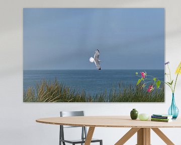 Zweven langs de kust van Albert Rap