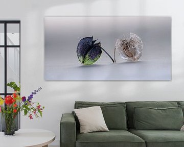 Zegekruid van Hans van der Putten