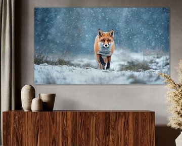 Fuchs im Schneefall von Bo Valentino
