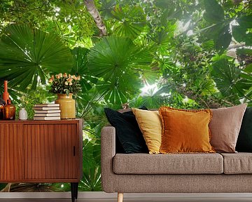 Majestueuze waaierpalm in het Daintree National Park, Queensland, Australië.