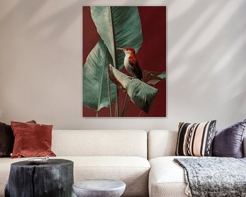 Das Flüstern der Tropen von Studio Allee