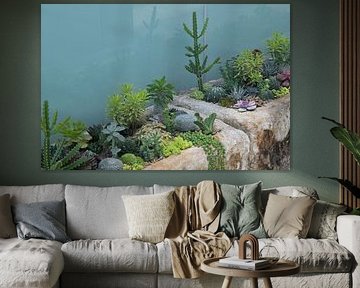 Succulents in Stone Pots