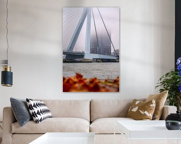 Erasmus Bridge and Maastoren in the fog by Leon Okkenburg