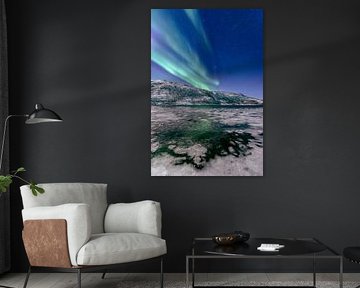 Aurora Nordpolarlicht am Nachthimmel über Nordnorwegen von Sjoerd van der Wal Fotografie