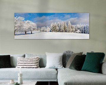Forêt d'hiver en Thuringe sur AidasignArt