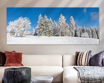 Silence hivernal sur les forêts de Thuringe : Panorama de feuillus et de sapins enneigés sur AidasignArt