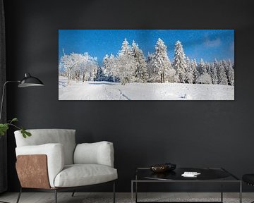 Silence hivernal en Thuringe : Un panorama de feuillus enneigés, de colonnes de sapins et de forêts denses sous un ciel bleu profond avec de douces chutes de neige sur AidasignArt