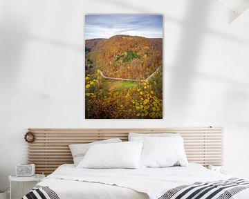 Herfst in de zuidelijke Harz met Netzkater van t.ART