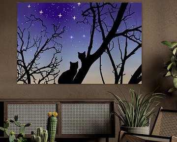 Illustration des deux chats et des étoiles sur Patricia Hofmeester
