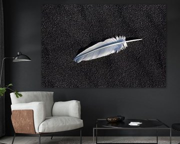 Feder am Strand von Sven-Erik Arndt