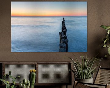 Buhne an der Ostsee von Sven-Erik Arndt