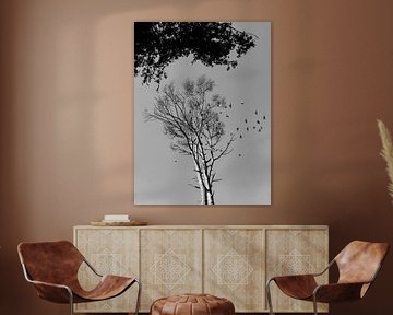 The Doves are Gathering, Peace Will Come