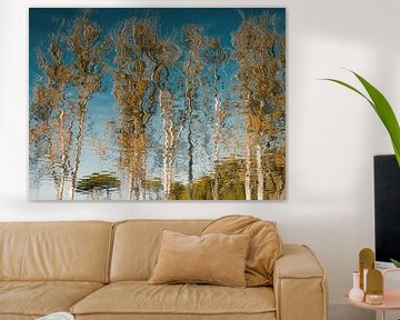 The Trees in Villa Ada