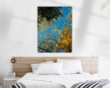 Autumn is a Feast for the Soul