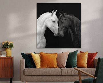 Porträt von zwei Pferden von Schwarzer Kaffee