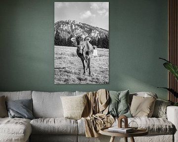 Douce vache de l'Allgäu avec vue sur le Grünten (noir et blanc) sur Leo Schindzielorz